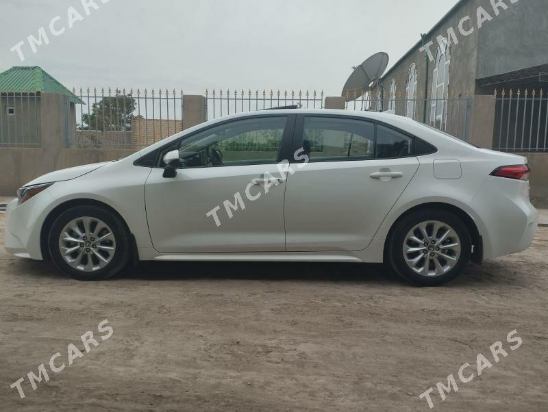 Toyota Corolla 2020 - 245 000 TMT - Halaç - img 2