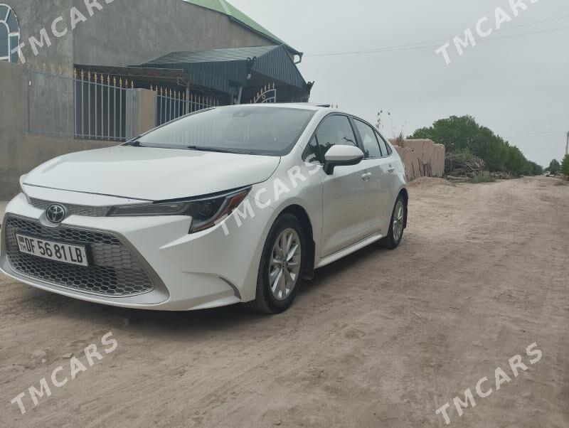 Toyota Corolla 2020 - 245 000 TMT - Halaç - img 3