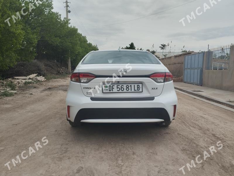 Toyota Corolla 2020 - 245 000 TMT - Halaç - img 4