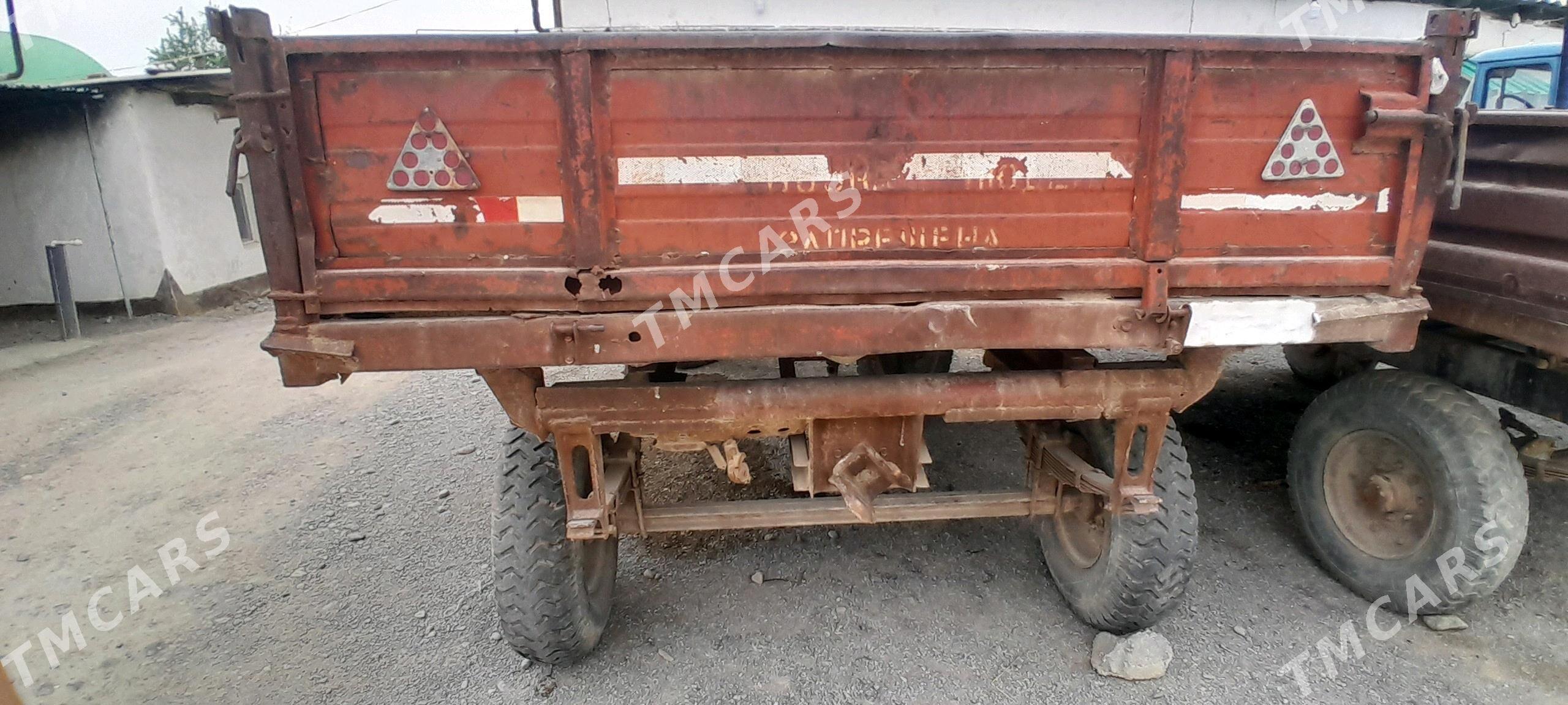 keleşka - Ýaşlyk - img 2