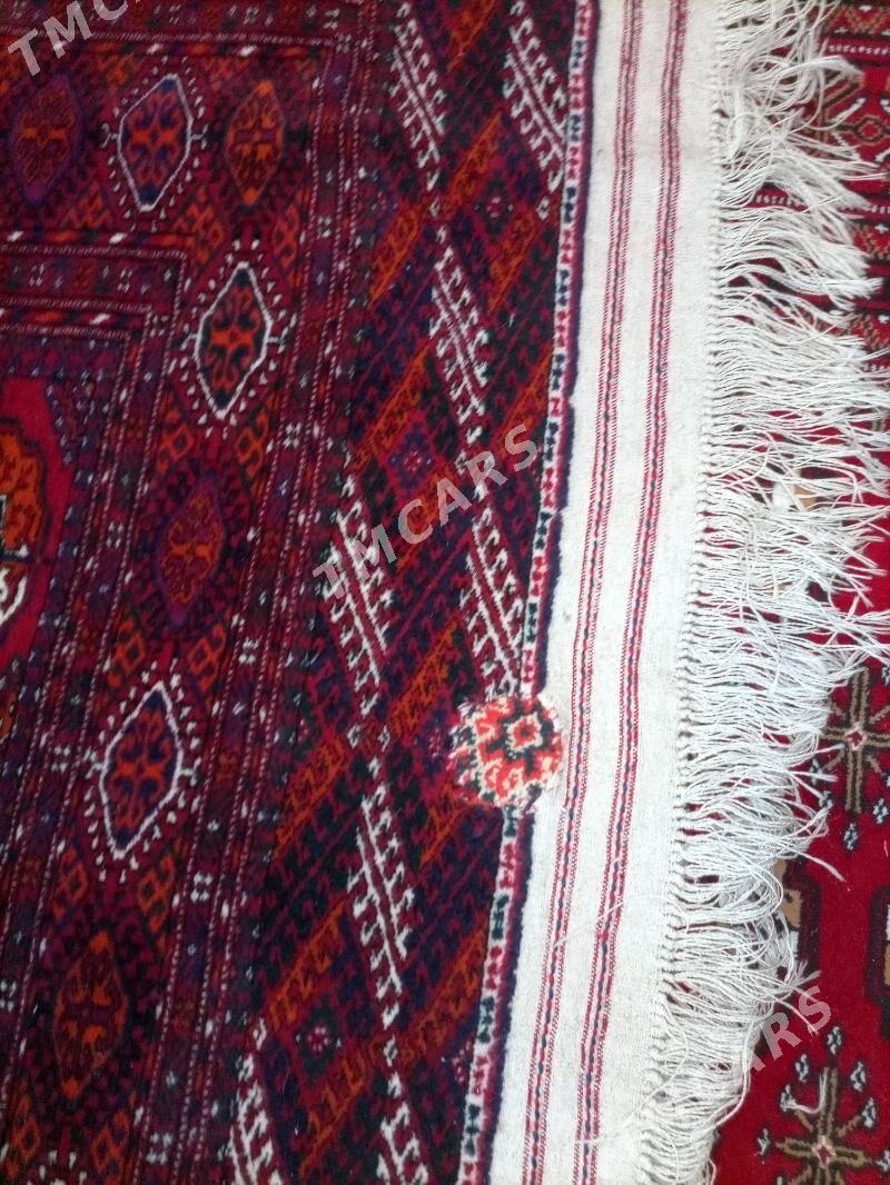 El haly - Köneürgenç - img 3