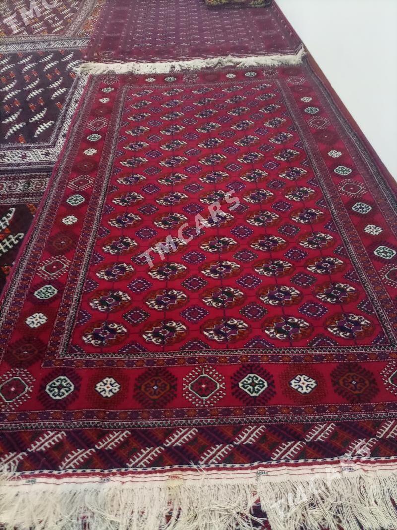 El haly - Köneürgenç - img 2