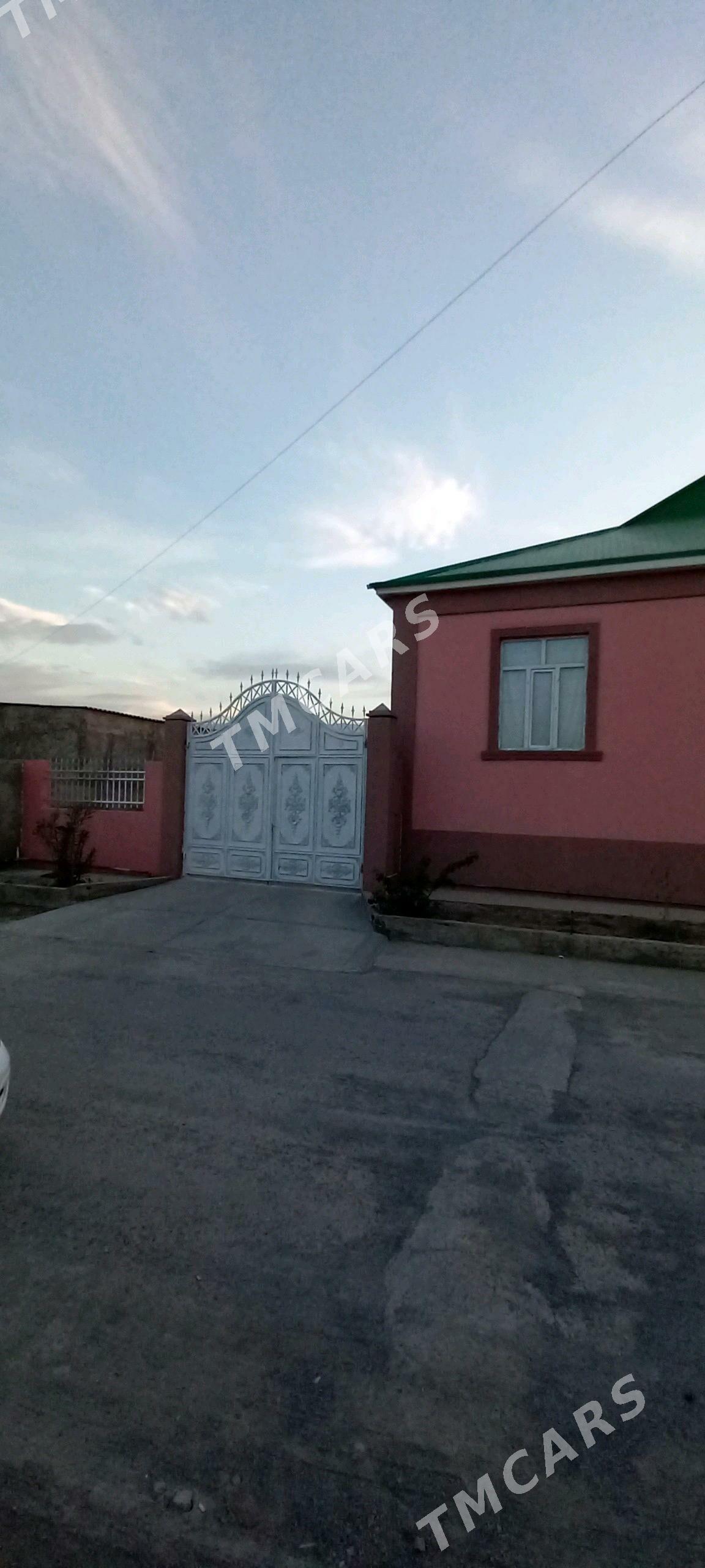 Bagyr Mirewe - Багир - img 4