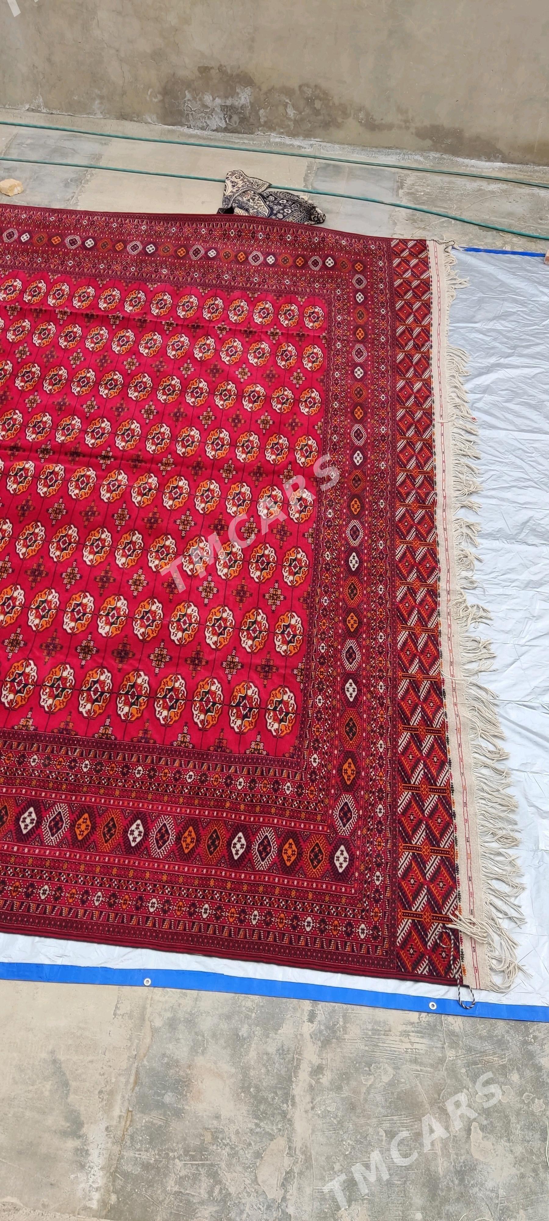 el haly 5/6 - Bäherden - img 4