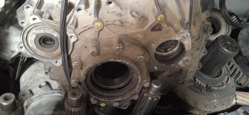 zf karopka 1 000 TMT - Mary - img 3