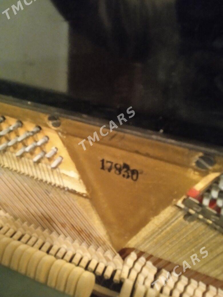 pianino - Mary - img 3