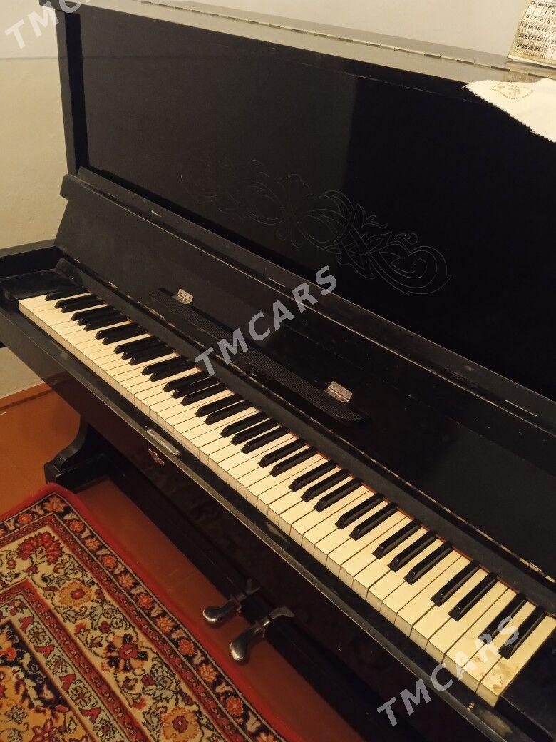 pianino - Mary - img 2