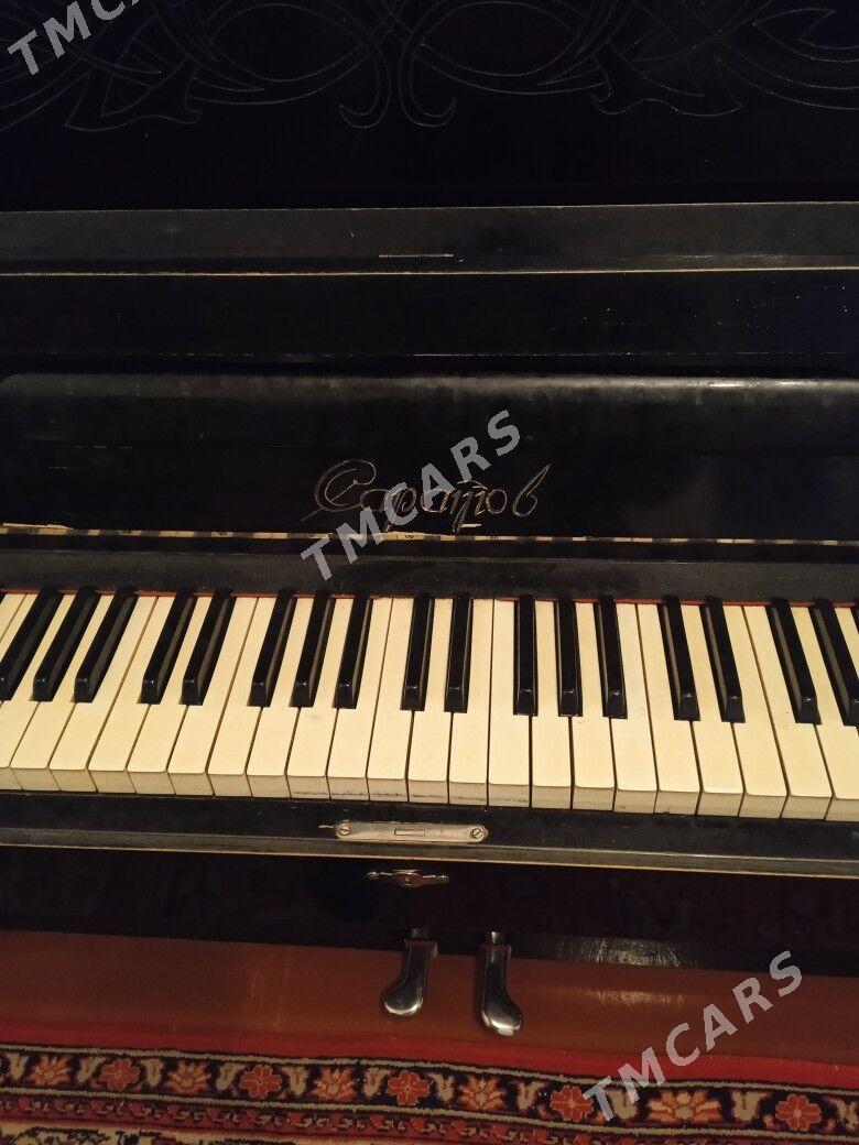 pianino - Mary - img 4