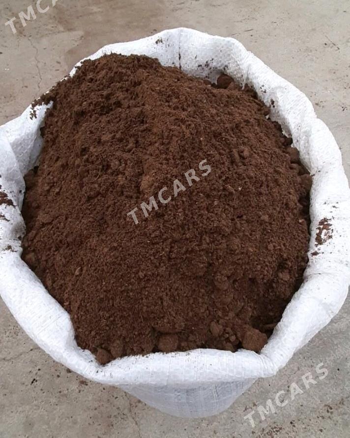 MITI DERS KERPIC SEMENT TOYN - Бедев - img 2