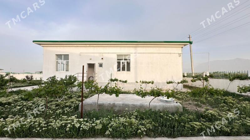 Gökdepe amatly jaý - Гёкдепе - img 2