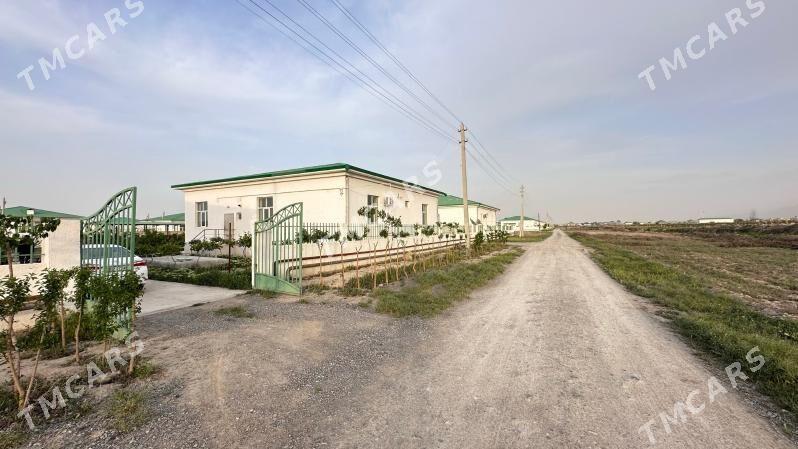 Gökdepe amatly jaý - Гёкдепе - img 3