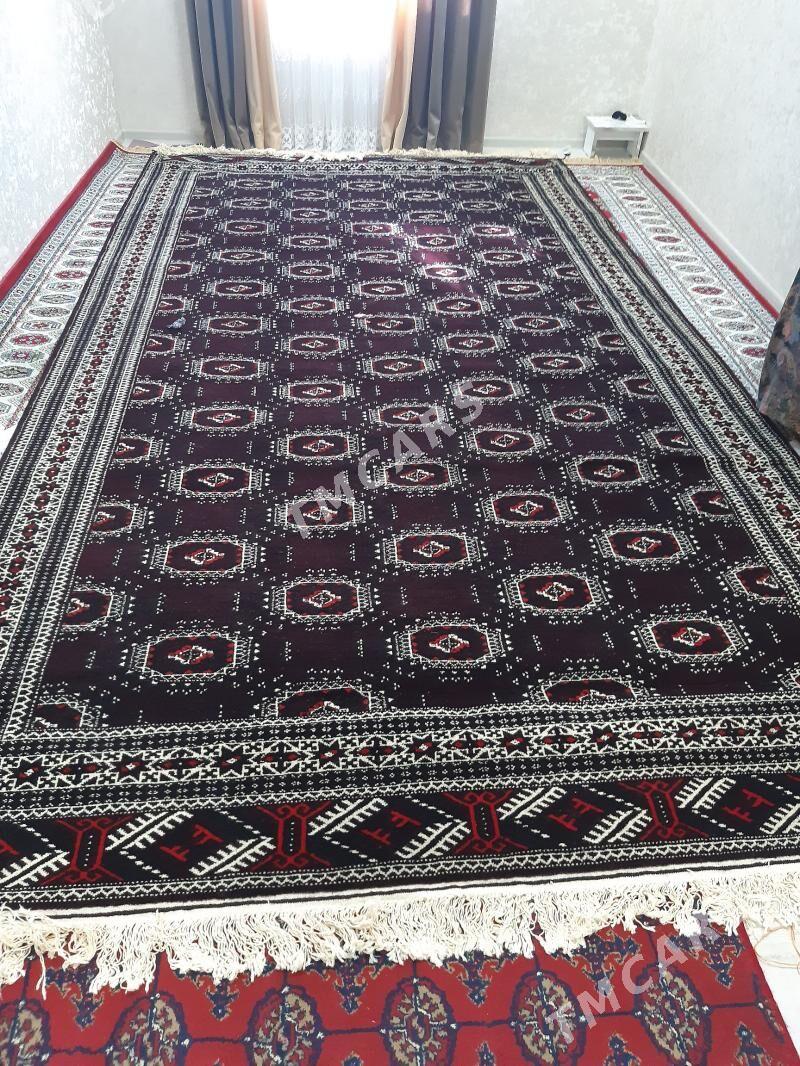 Pendi gol - Türkmenbaşy - img 2