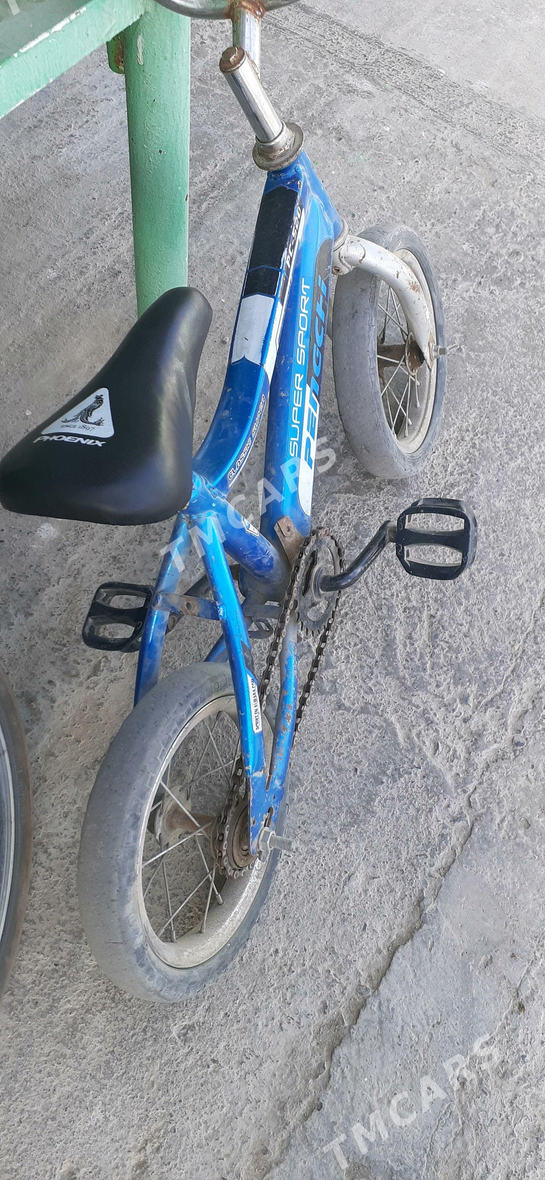 Tigir çaga welosipet 12lik - Гёкдепе - img 2