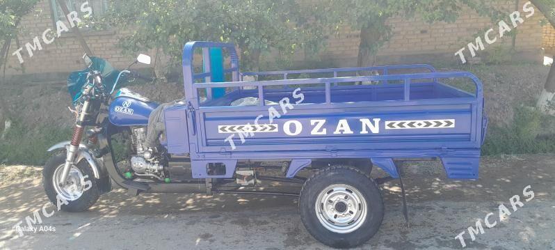 Ozan 200CC 2015 - 19 000 TMT - Halaç - img 3
