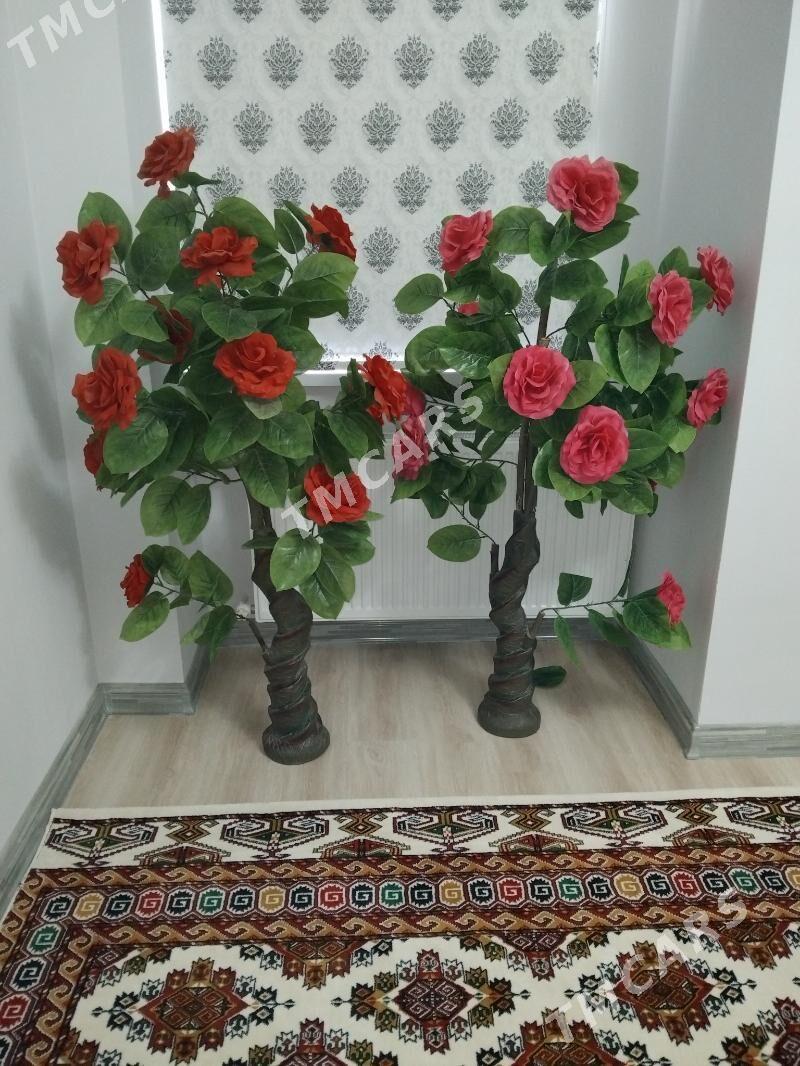 Gül bar 2sany - Бузмеин - img 2