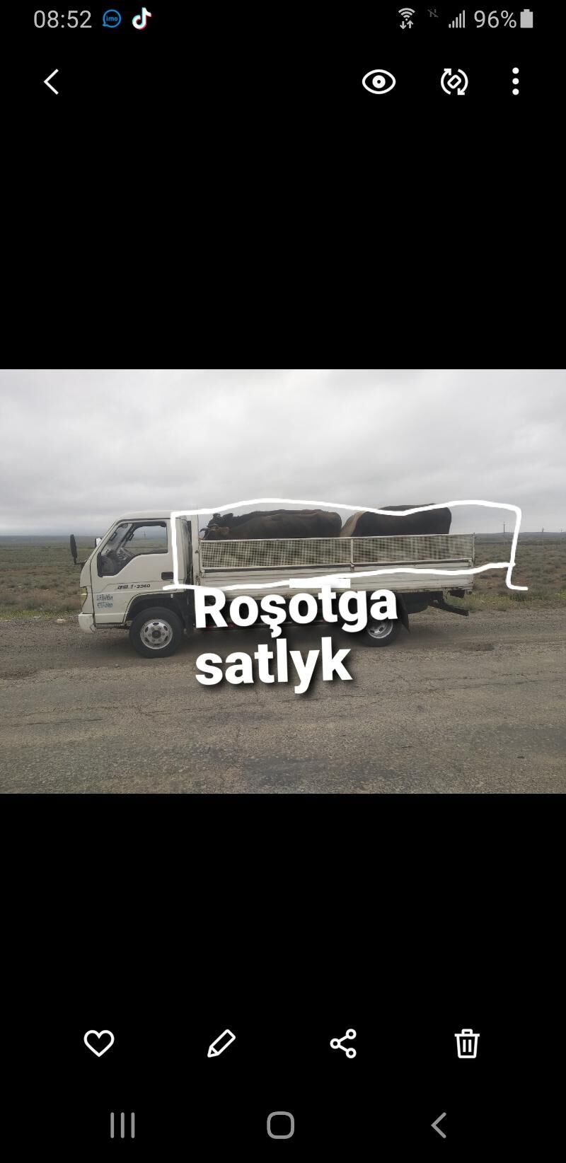 forland roşotga 1 200 TMT - Balkanabat - img 2