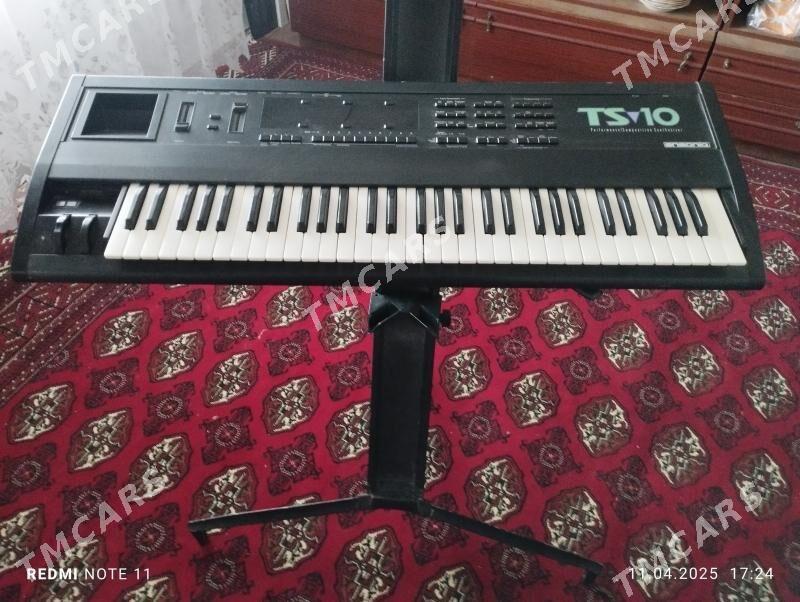 TS 10 ENSONIK - Саят - img 3