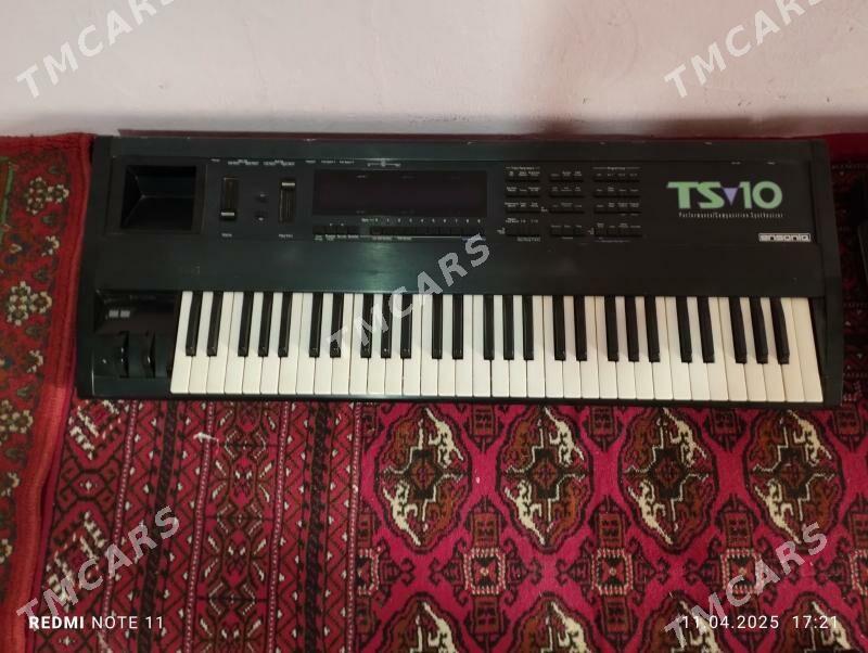 TS 10 ENSONIK - Саят - img 2