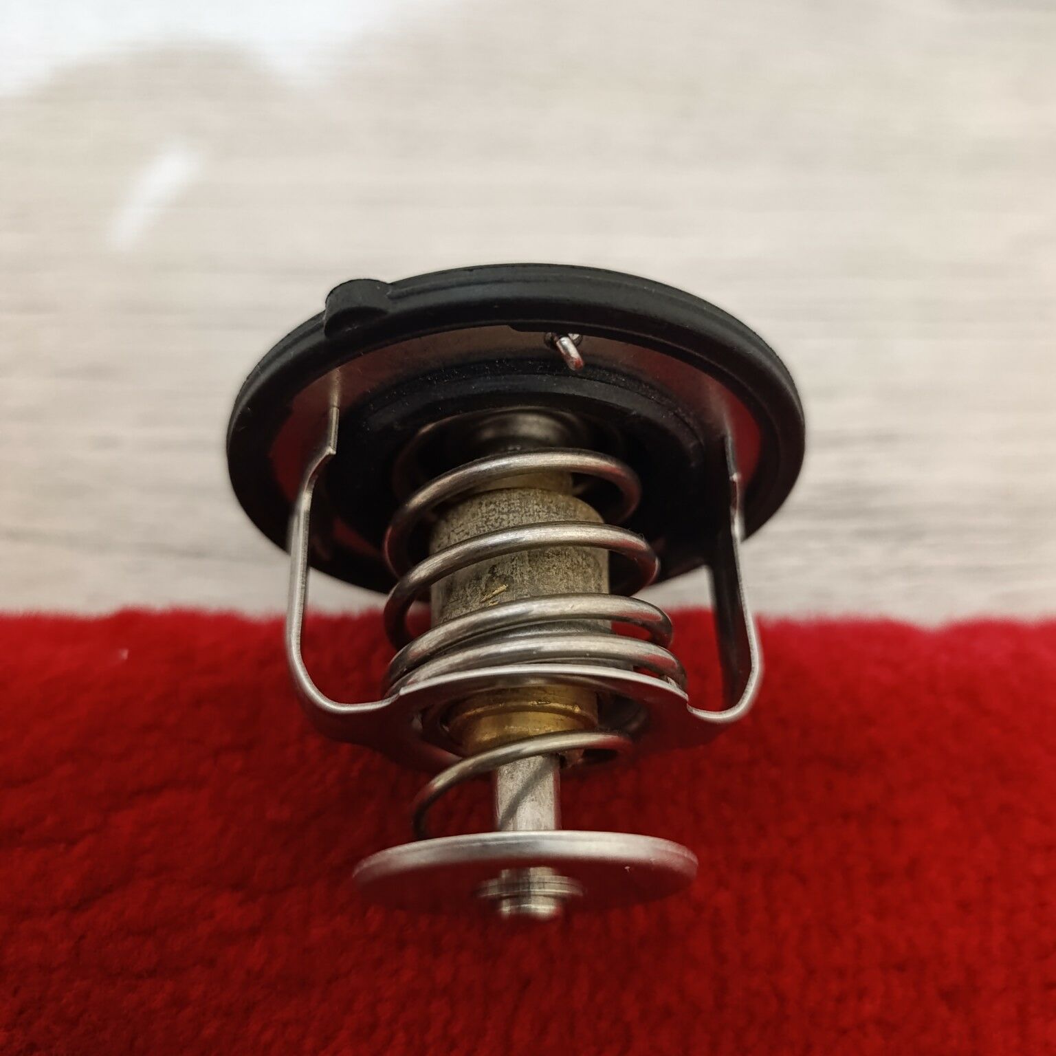 Termostat 250 TMT - Çoganly - img 2