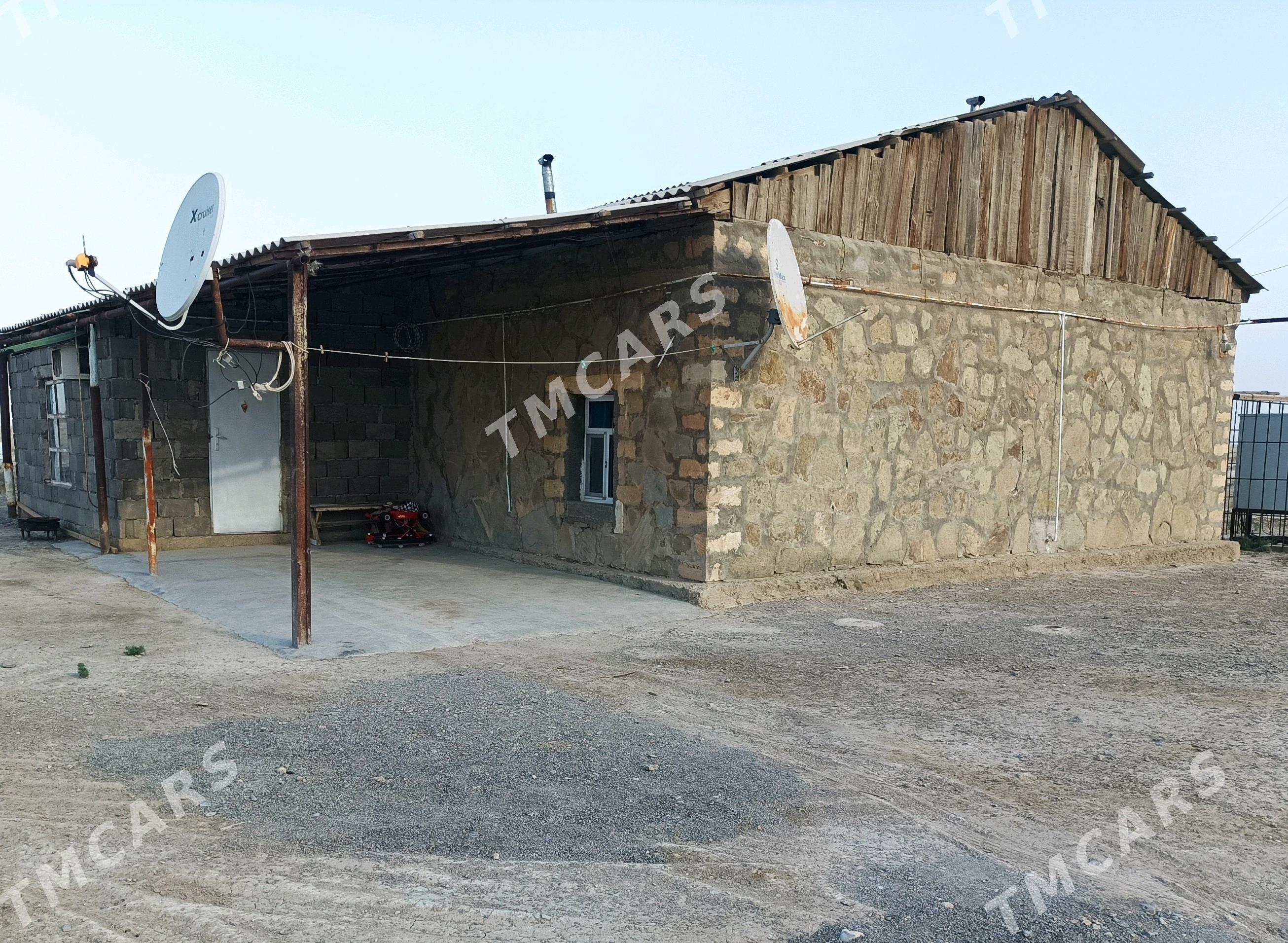 Jaý - Gyzylarbat - img 10