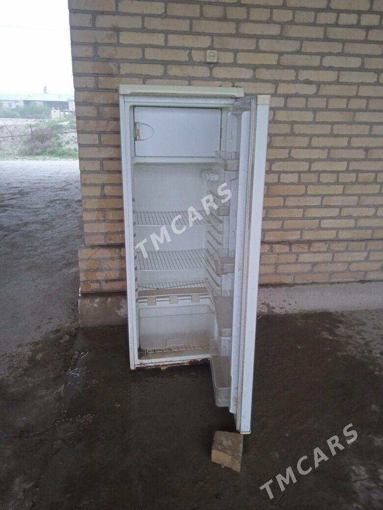 suwadyjy haladinlik - Halaç - img 3