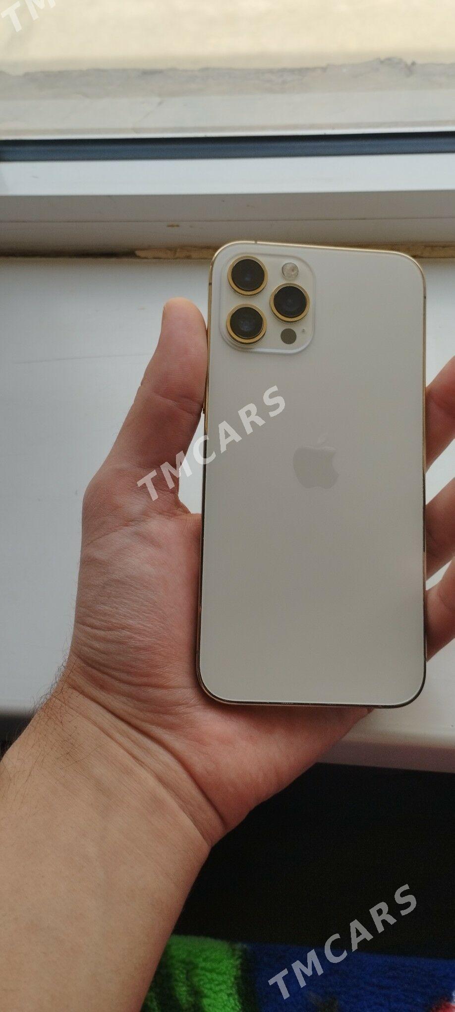 IPhone 12 Pro max - Сакарчага - img 7