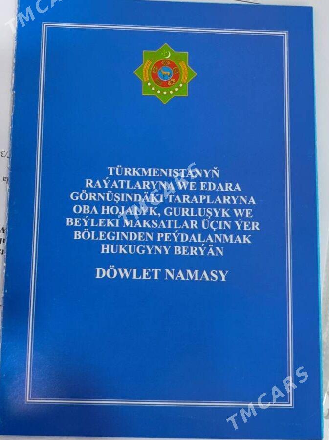 Towuk ferma 10 gektar - Gökdepe - img 3
