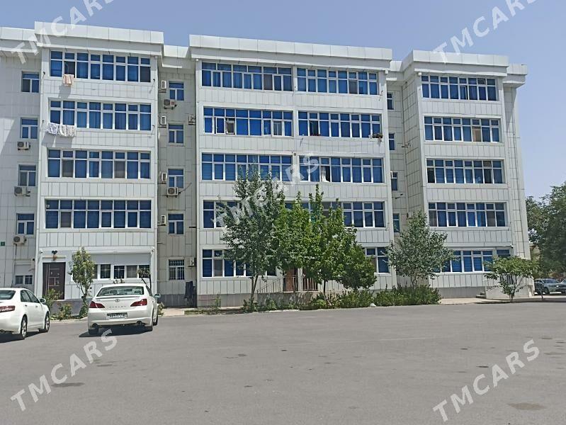 GYSSAGLY SATLYK JAY MIR 2 - Parahat 2 - img 3