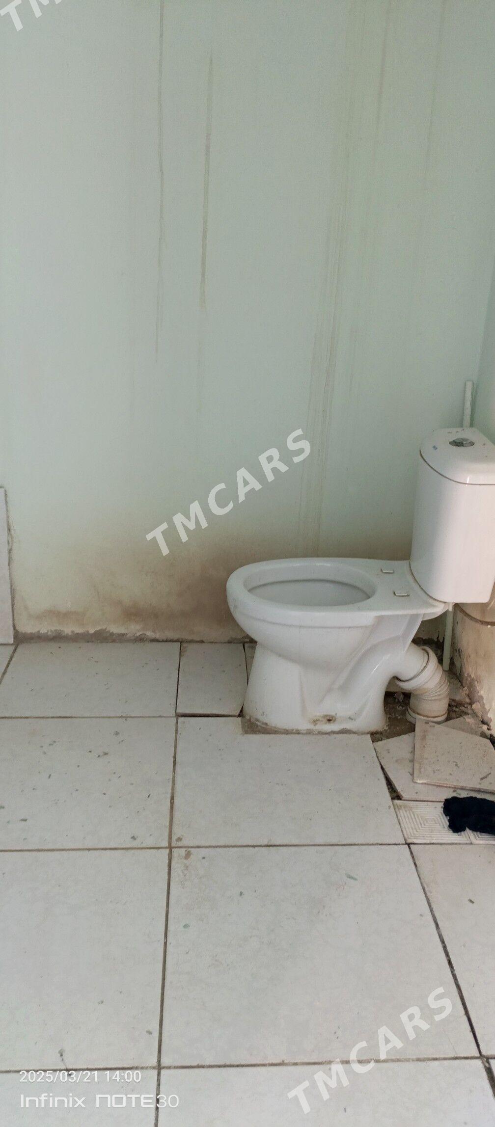 Замост - Türkmenabat - img 4