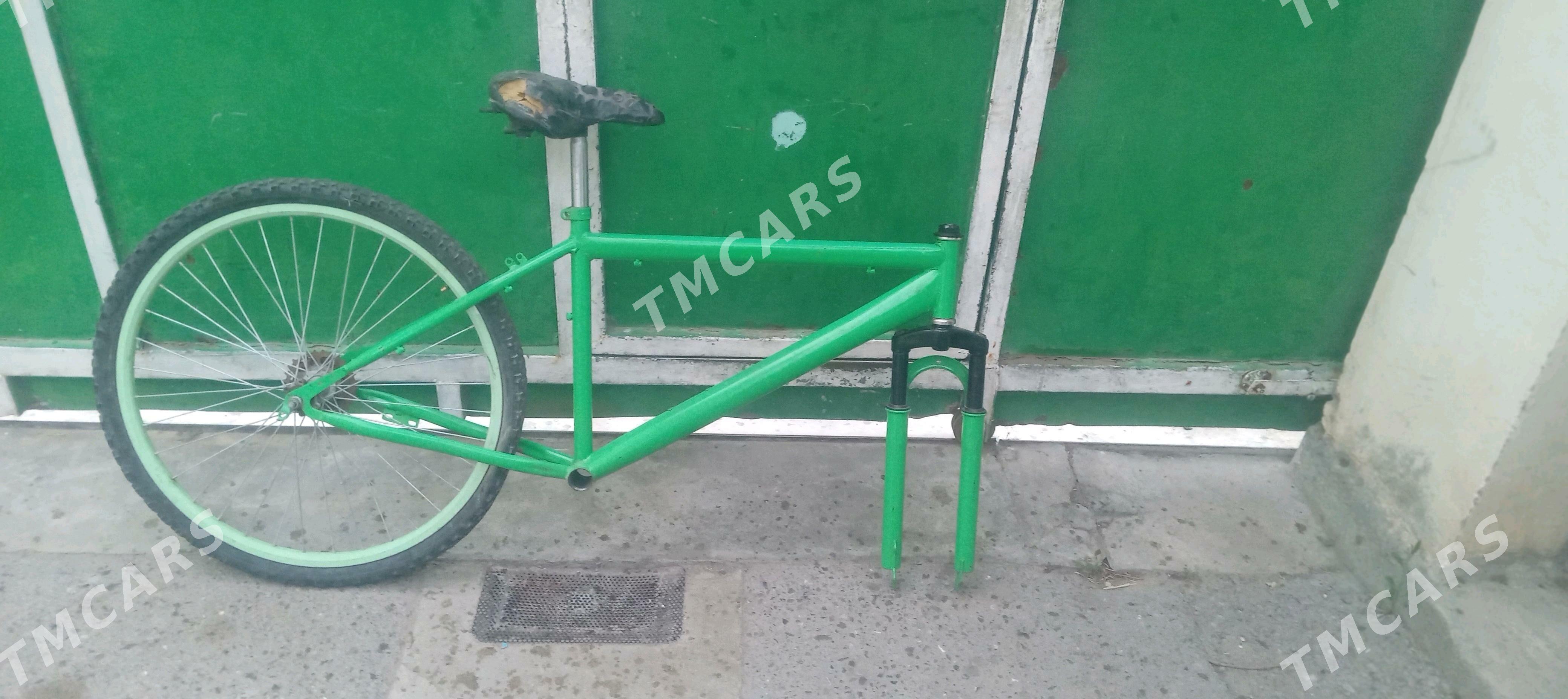 tigir turkmenistan rama welik - Бедев - img 2