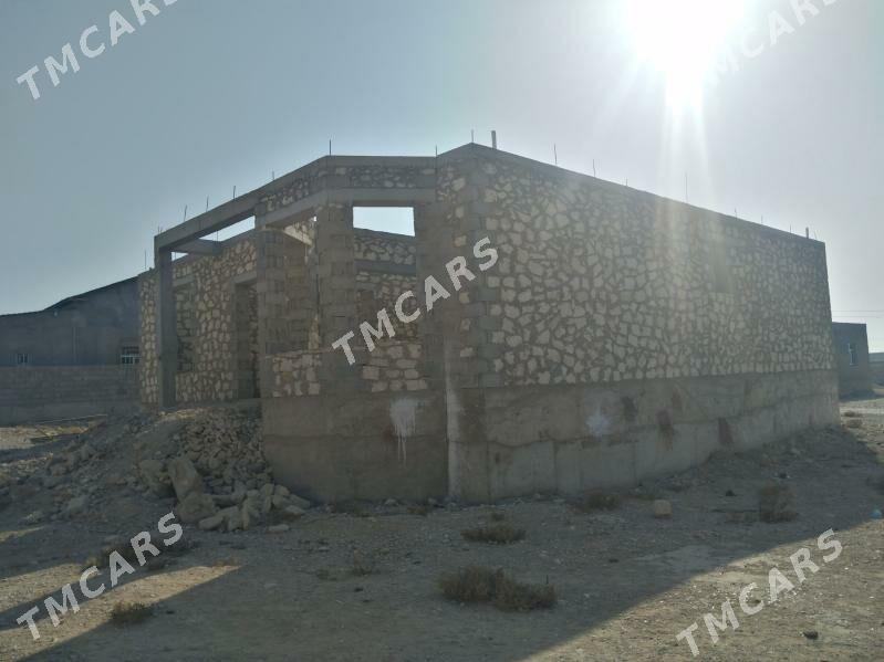 nebitchi 20 - Balkanabat - img 2