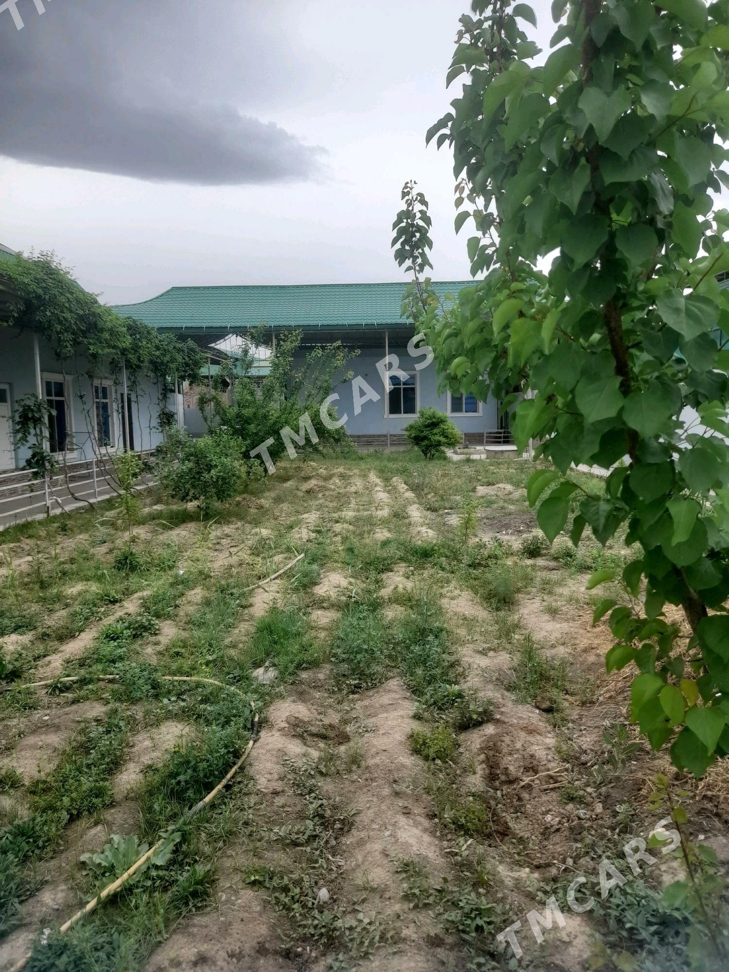 Bagir mirewe - Bagyr - img 1