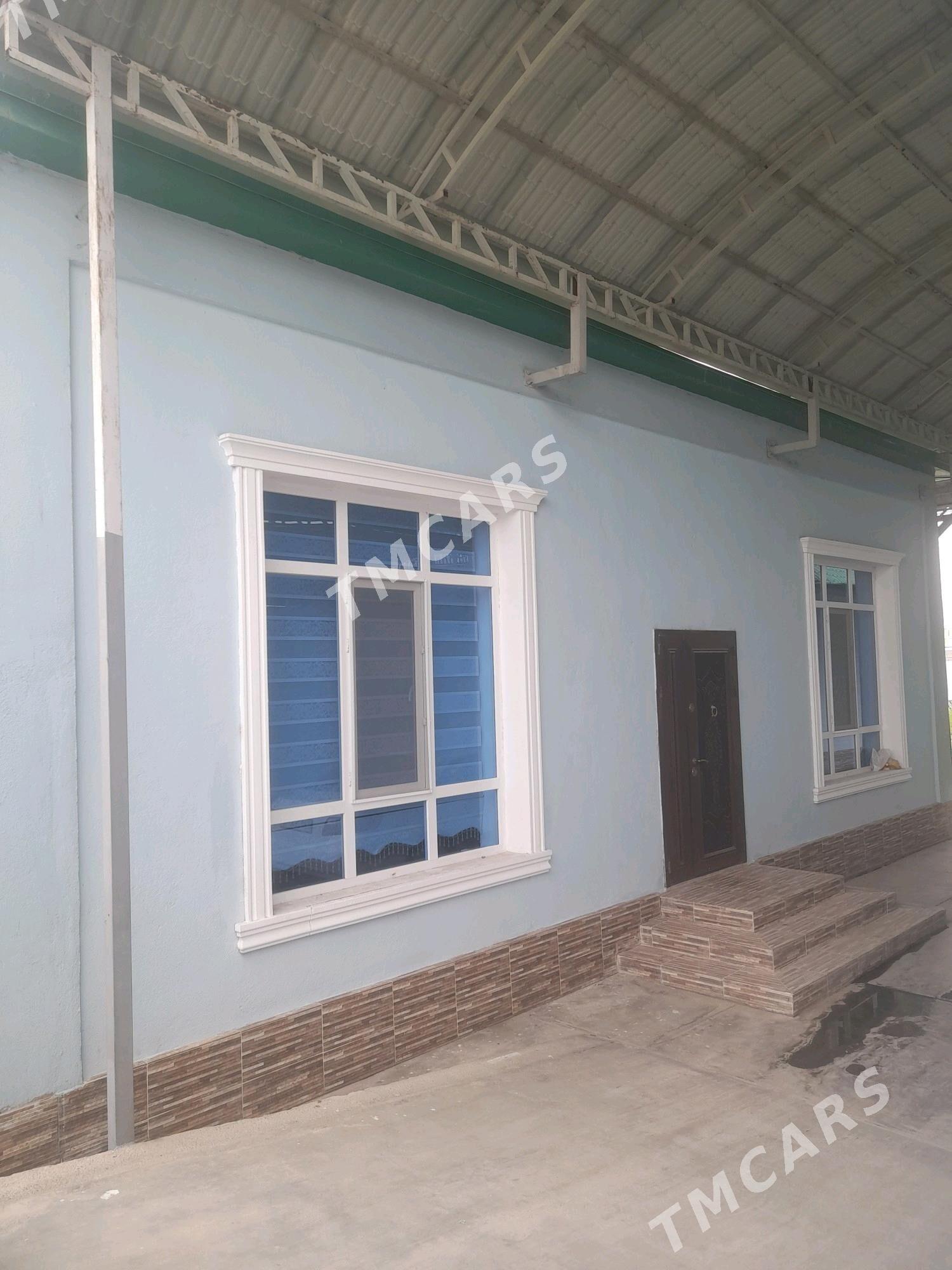 Bagir mirewe - Bagyr - img 3