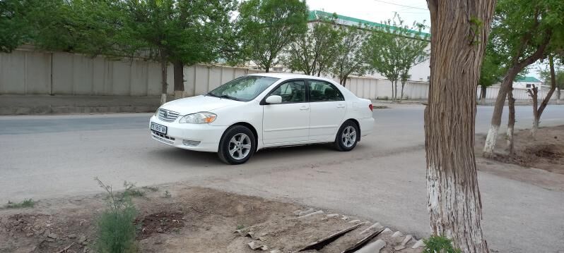 Toyota Corolla 2007 - 130 000 TMT - Tejen - img 10