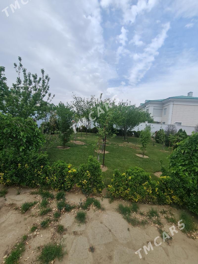 Çoganlyda çyzgy katež - Aşgabat - img 8