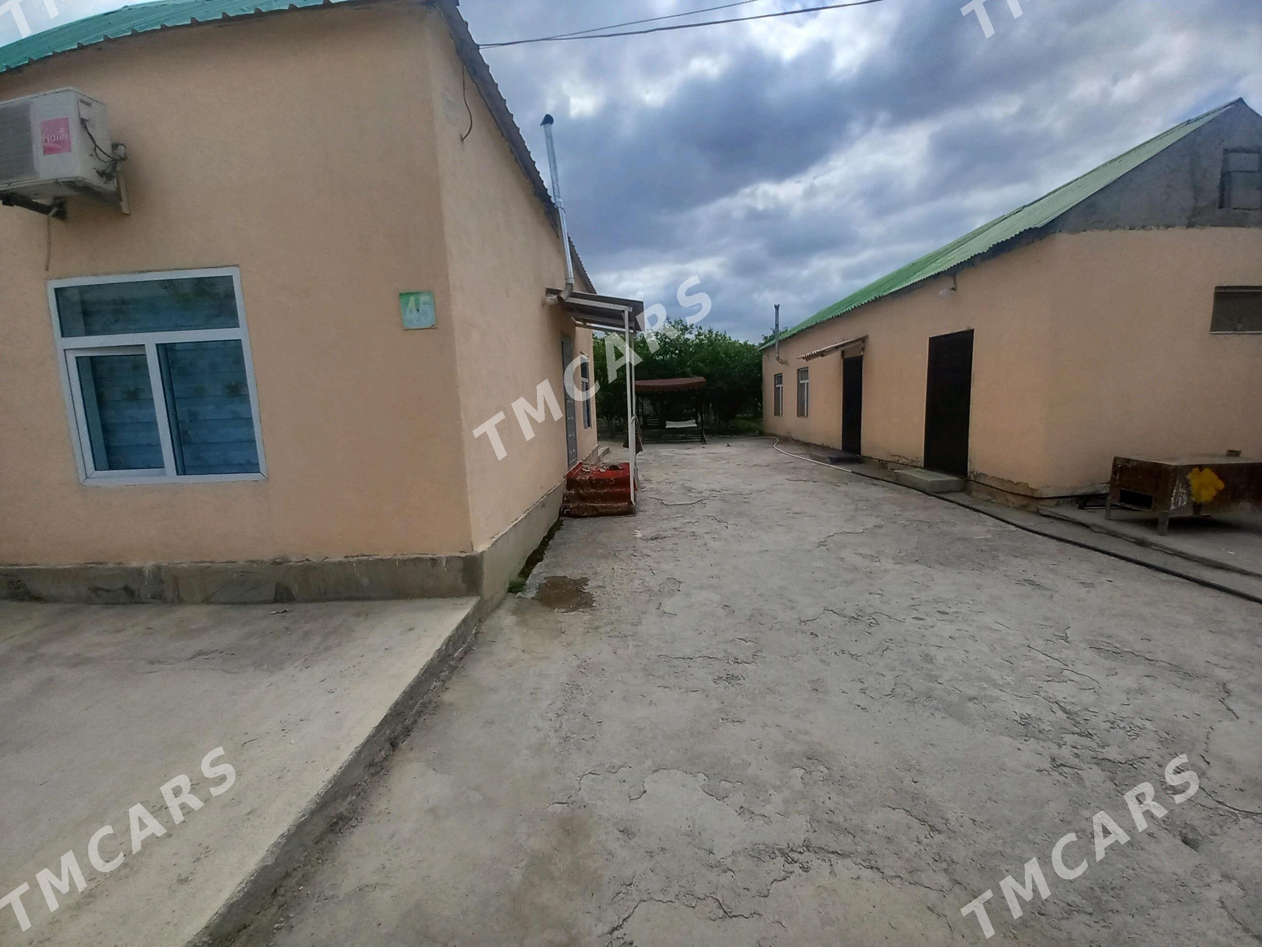 bagyr mirewe - Bagyr - img 2