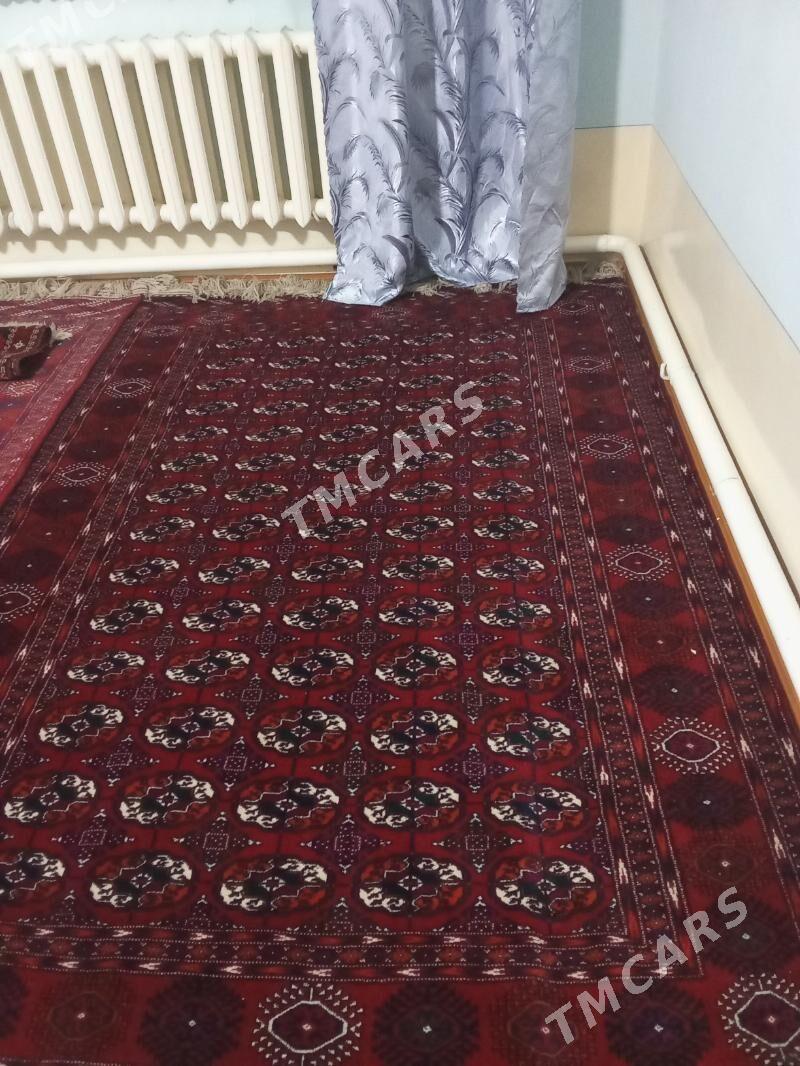 Bäherden nepis türkmen halylar - Daşoguz - img 5