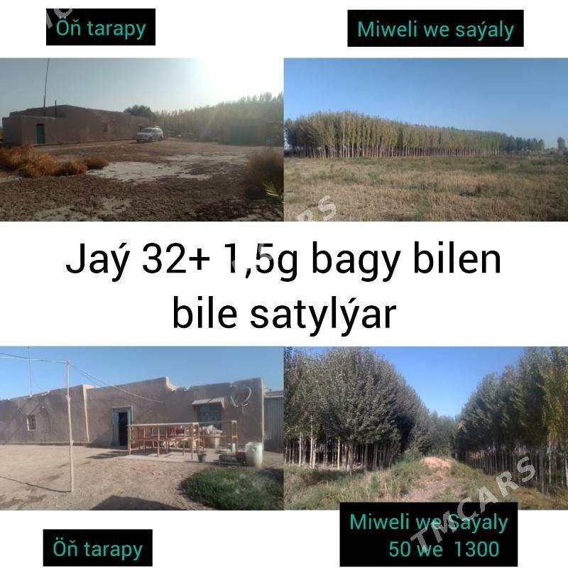 Jaý bagy bilen - Türkmenbaşy etr. - img 3