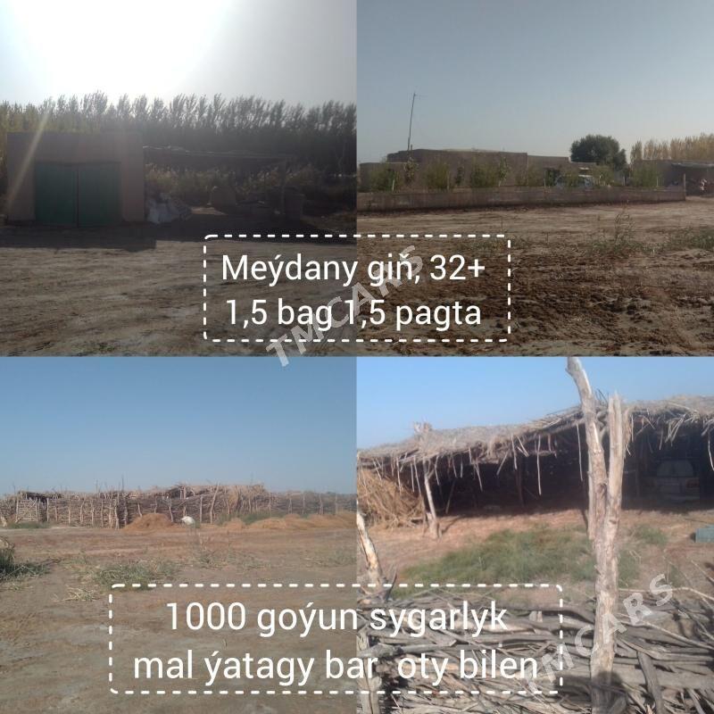 Jaý bagy bilen - Türkmenbaşy etr. - img 4