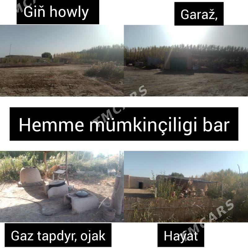 Jaý bagy bilen - Türkmenbaşy etr. - img 5
