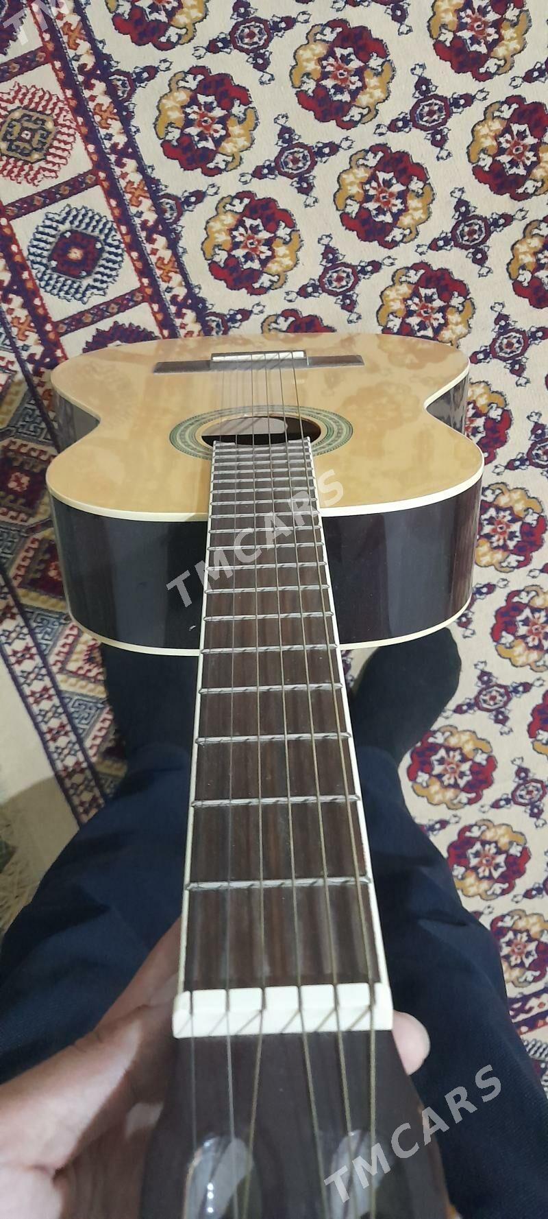 Gitara Aileen - Байрамали - img 2