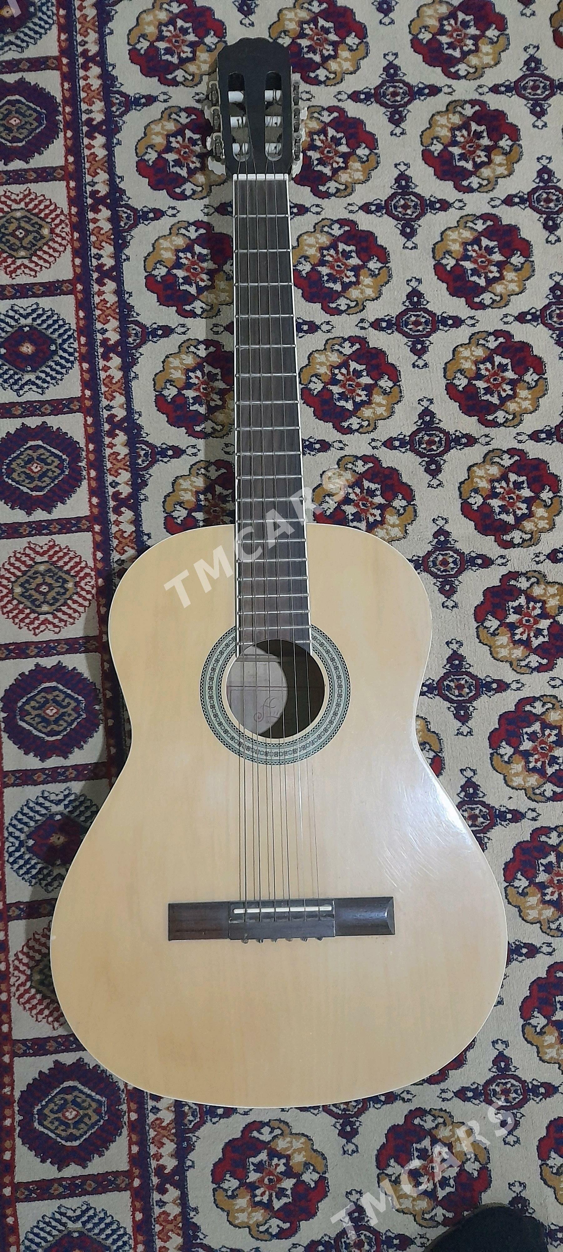 Gitara Aileen - Байрамали - img 3