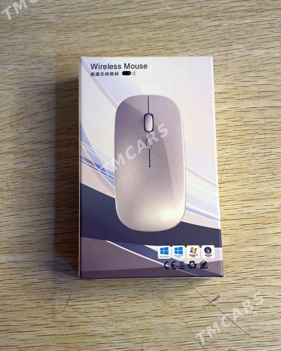 Myska Sycanjyk Philips WL - Mary - img 2