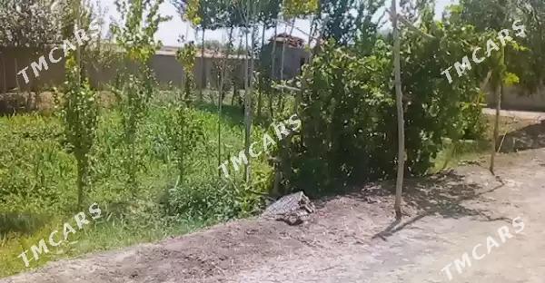 TAZE JAY ZAMAN OVA - Köneürgenç - img 6