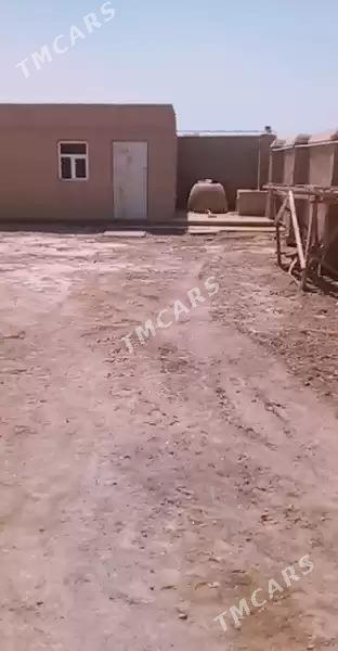 TAZE JAY ZAMAN OVA - Köneürgenç - img 3