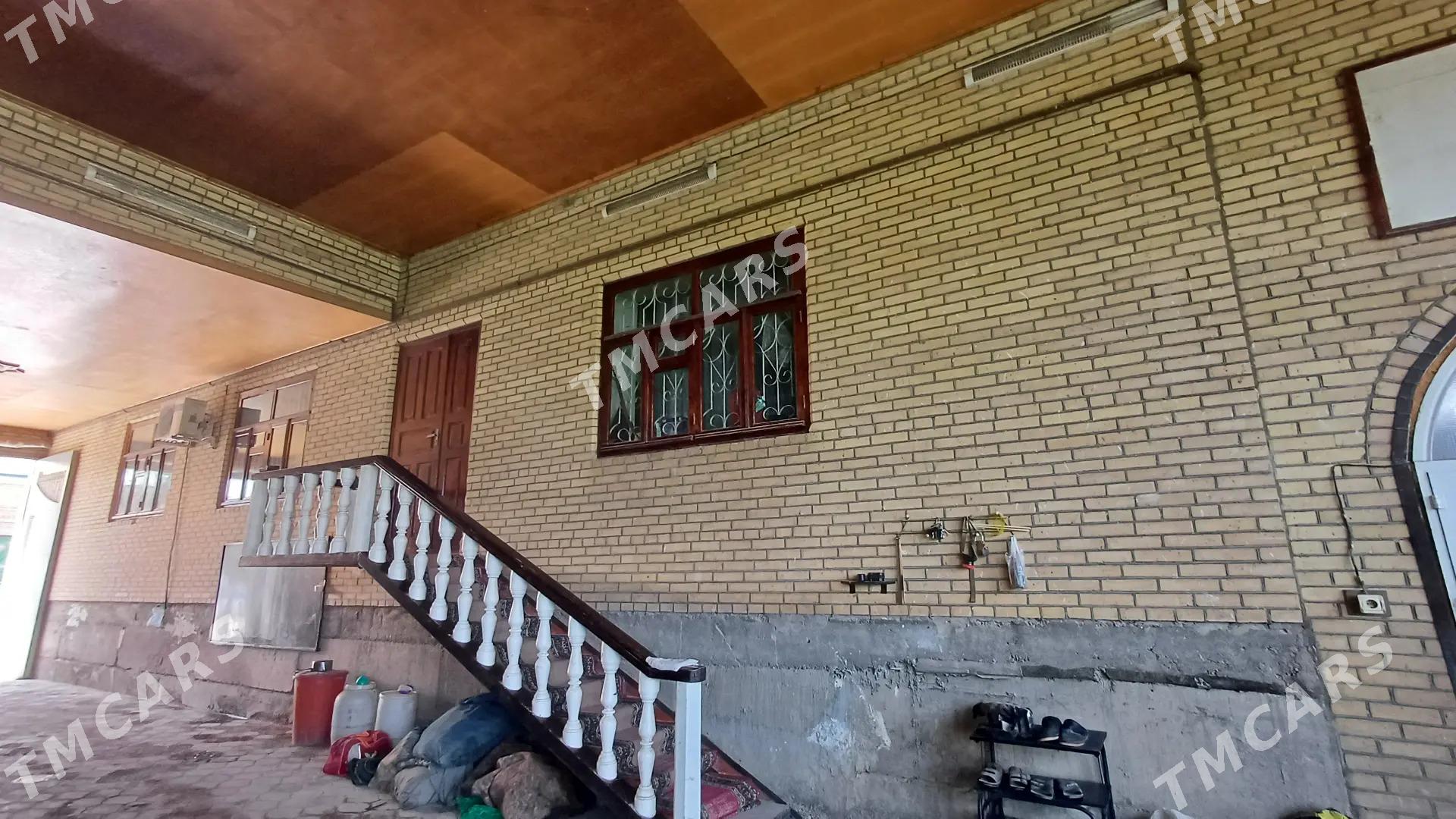 Kalsamol kalhoz - Türkmenabat - img 2