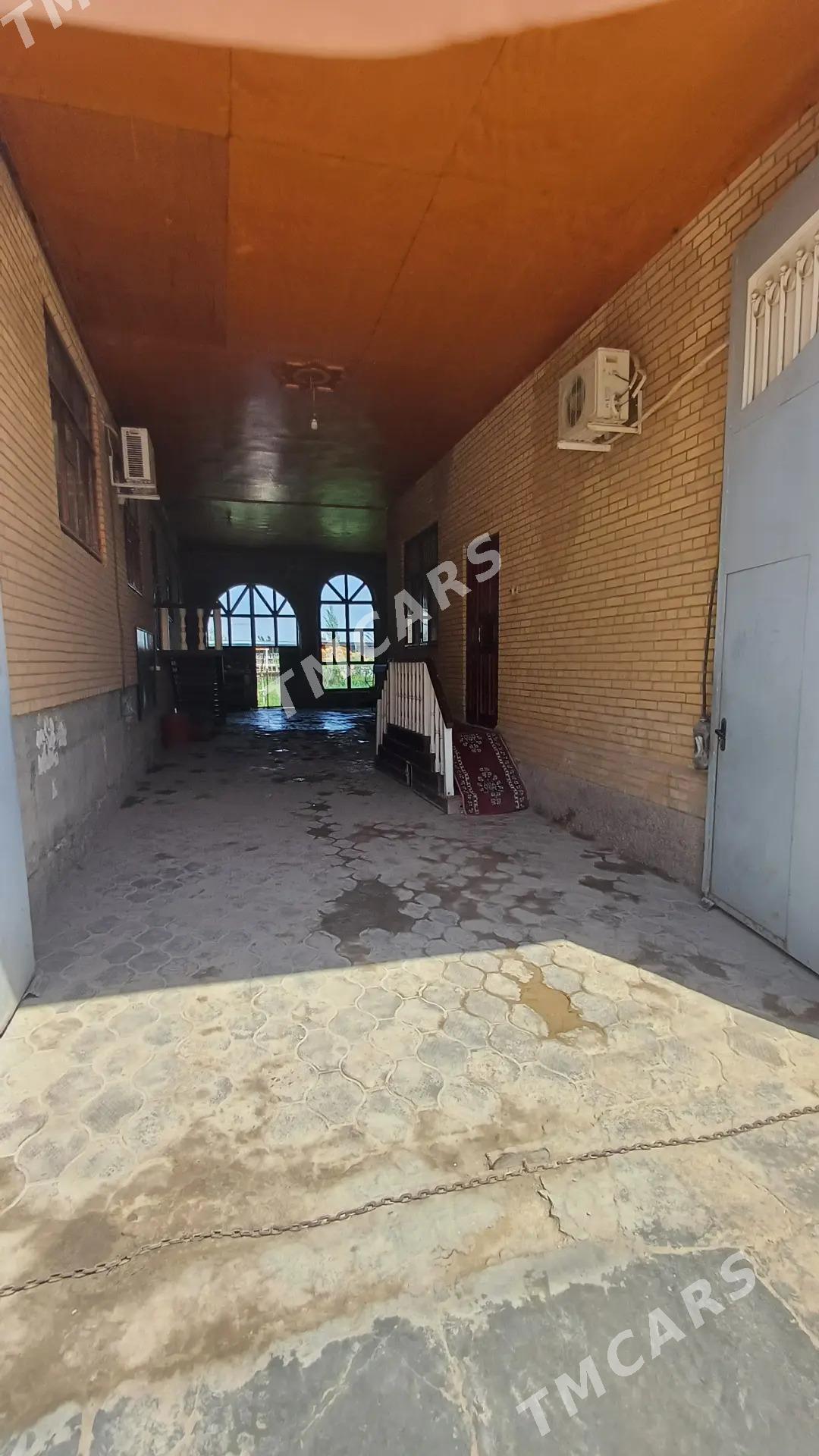 Kalsamol kalhoz - Türkmenabat - img 3