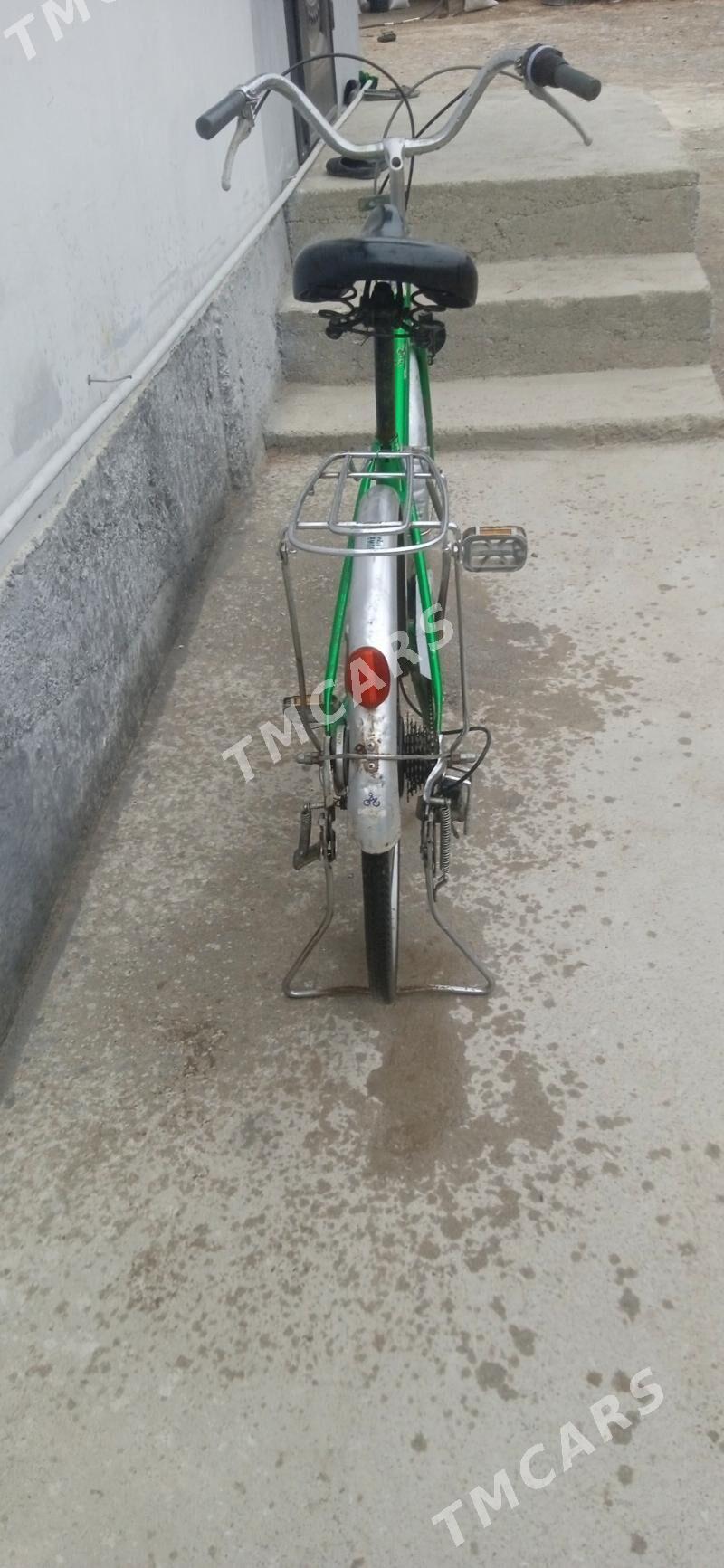 Yapoşga tigir - Garadamak - img 3