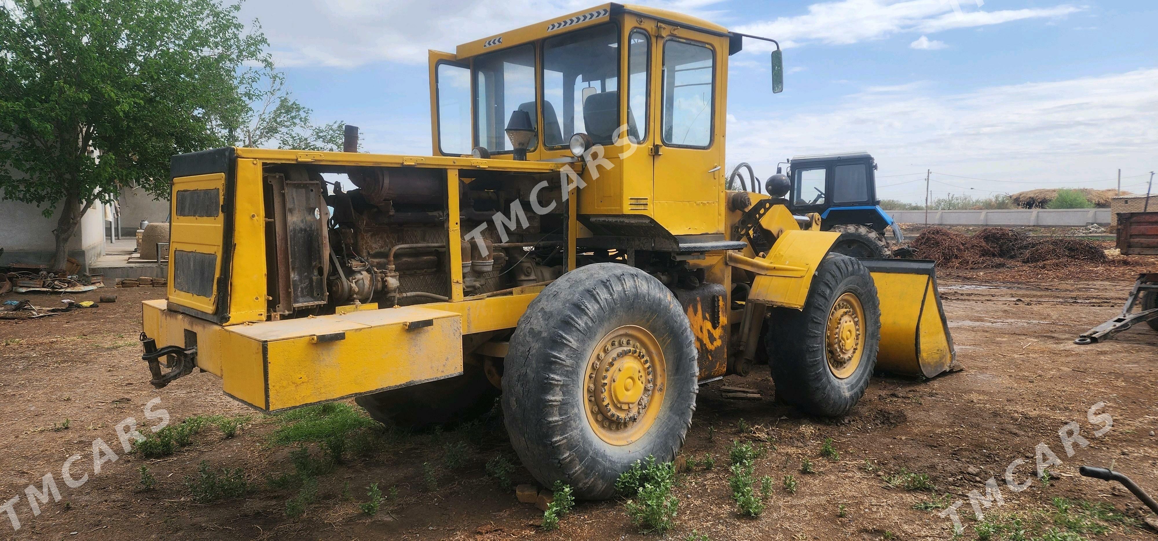 XCMG LW300F 1990 - 110 000 TMT - Гороглы (Тагта) - img 3