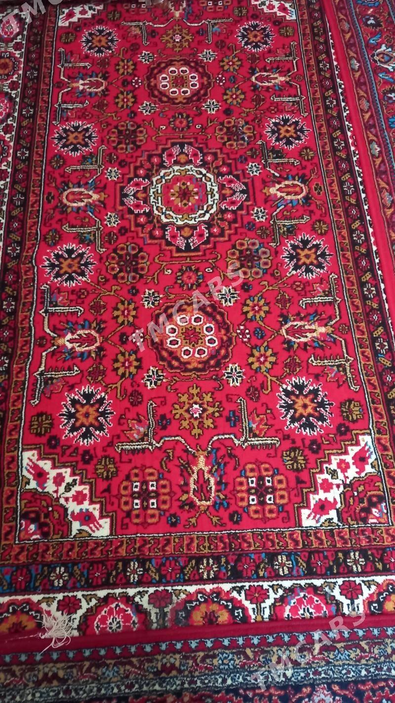 haly - Aşgabat - img 3
